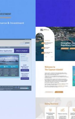 dcigov-20200221064127000000