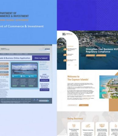 dcigov-20200221064127000000
