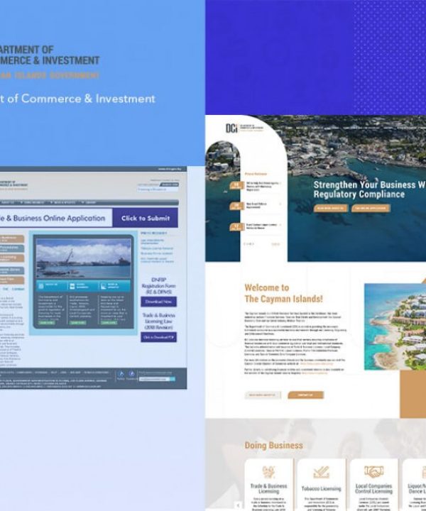 dcigov-20200221064127000000